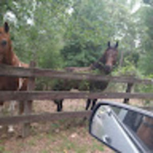 Meet your Posher, Wayne